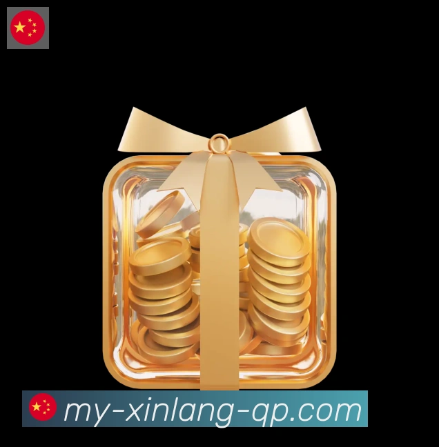 未来规划